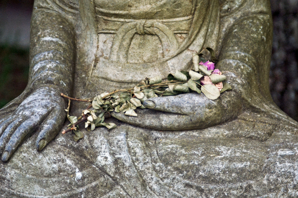 Buddha statue with dying flowers. Photo by Zen Diary, via Flickr Creative Commons